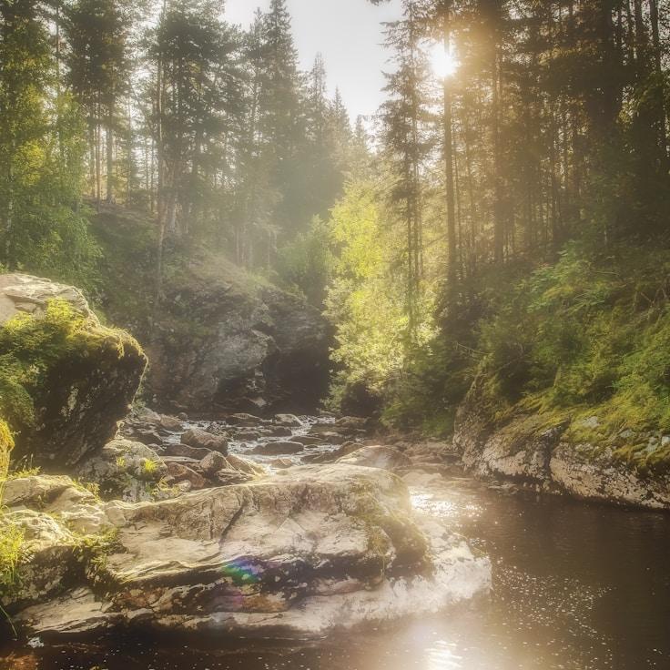 Overview of protected zones